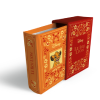 Le N°1 : Le mini-livre Le Roi Lion